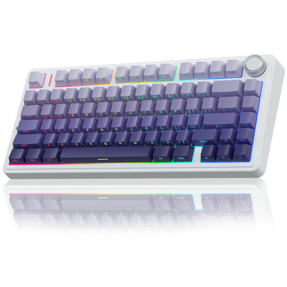 AULA Wireless Gasket Mechanical RGB Keyboard