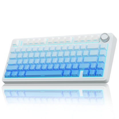 AULA Wireless Gasket Mechanical RGB Keyboard