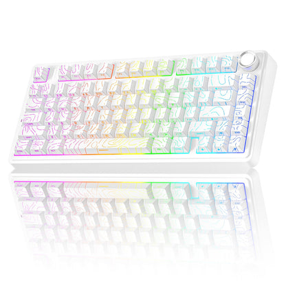 AULA Wireless Gasket Mechanical RGB Keyboard