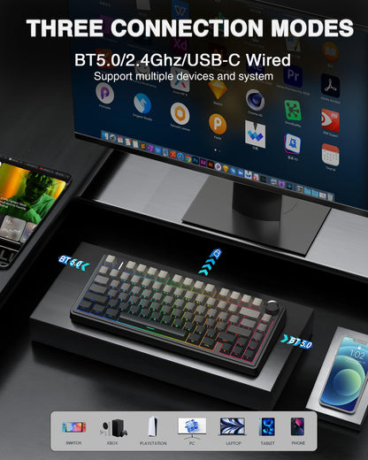 AULA Wireless Gasket Mechanical RGB Keyboard