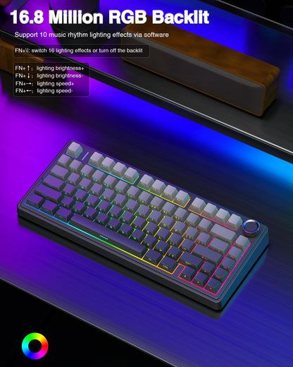 AULA Wireless Gasket Mechanical RGB Keyboard
