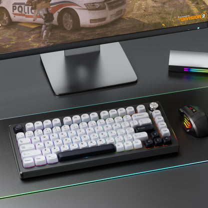 Japanese PBT Keycap Set with MOA Profile – 137 Keys