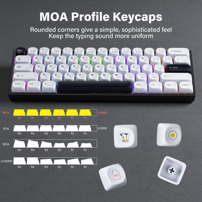 Japanese PBT Keycap Set with MOA Profile – 137 Keys